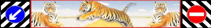 Брызговик задний для а/м Газель 3302 «длинномер» (2050*320мм) «Тигры»